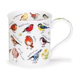DUNOON-mug-Bute-beker-mok-Tasse-BIRDLIFE-Garden_birds-soorten-tuin-vogels-design-Kate_Mawdsley