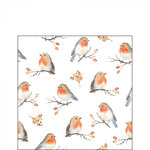Papieren-cocktail-servetten-Ambiente-25x25cm-ROBIN-FAMILY-vogels-Roodborstjes-takken-Ambiente-32516805