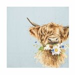 papieren-lunch-servetten-Wrendale-HIGHLAND_COW-DAISY_COO-33x33cm-Schotse_Hooglander-kalfjes-design-Hannah_Dale-K045