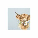 papieren-cocktail-servetten-Wrendale-HIGHLAND_COW-DAISY_COO-25x25cm-Schotse_Hooglander-kalfjes-design-Hannah_Dale-K049