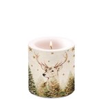 Ambiente-candle-Small-kaars-35h-branduren-39214760