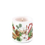 Ambiente-candle-Small-kaars-35bhr-CHRISTMAS-ARRANGEMENT-Kerstgroen-wandelstok-rood-wit-39217935