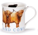 Bute-beker-mok-highland-hooglander-cows-koeien-ossen