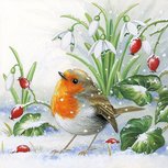 Papieren Kerstservet ROBIN 33x33cm p/20 Roodborstje Sneeuwklokjes enRozenbottels Papieren Kerstservet ROBIN 33x33cm p/20 Roodborstje Sneeuwklokjes enRozenbottels