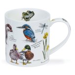 ORKNEY beker COUNTRY NOTEBOOK River 350ml Rivier dieren vogels insekten ORKNEY beker COUNTRY NOTEBOOK River 350ml Rivier dieren vogels insekten