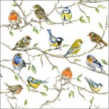 Papieren servetten AB 33x33cm BIRDS MEETING p/20 vogels verzamelen Papieren servetten AB 33x33cm BIRDS MEETING p/20 vogels verzamelen