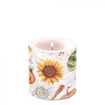 Ambiente Kaars Candle Small PUMPKINS & SUNFLOWER 35hrs herfst Pompoenen en Zonnebloem Ambiente Kaars Candle Small PUMPKINS & SUNFLOWER 35hrs herfst Pompoenen en Zonnebloem