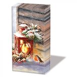 Papieren zakdoekjes AB p/10 ROBIN BY LANTERN Lantaarn en Roodborstje