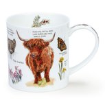 ORKNEY beker SCOTTISH NOTEBOOK Highland Cow 350ml Schotse Hooglander koe by Hanah Longmuir ORKNEY beker SCOTTISH NOTEBOOK Highland Cow 350ml Schotse Hooglander koe by Hanah Longmuir