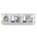 Herb Pots set of 3 and tray WRENDALE Mouse Rabbit Wren Kruiden potjes op tray Muis Konijn Vogel Herb Pots set of 3 and tray WRENDALE Mouse Rabbit Wren Kruiden potjes op tray Muis Konijn Vogel