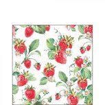 Papieren servetten AB 25x25cm GARDEN STRAWBERRIES tuin Aardbeien plantjes Papieren servetten AB 25x25cm GARDEN STRAWBERRIES tuin Aardbeien plantjes