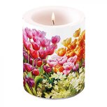 Ambiente Kaars Candle Big 75hrs TULIPS voorjaarsbloemen Spring Tulpen