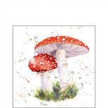 Servet AB 25x25cm p/20 PAINTED FLY AGARIC Vliegerzwammen Servet AB 25x25cm p/20 PAINTED FLY AGARIC Vliegerzwammen