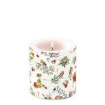 Ambiente Kaars Candle Small CHRISTMAS ORNAMENTS 35hrs Roodborstje op Kerstgroen Ambiente Kaars Candle Small CHRISTMAS ORNAMENTS 35hrs Roodborstje op Kerstgroen
