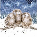 Wrendale Notecard Pack 8 Kerstkaarten THREE WISE MEN drie uilen op een boomtak in de sneeuw Wrendale Notecard Pack 8 Kerstkaarten THREE WISE MEN drie uilen op een boomtak in de sneeuw