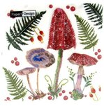 Papieren lunch servet IN THE FOREST p/20 33x33cm Paddenstoelen en varens Papieren lunch servet IN THE FOREST p/20 33x33cm Paddenstoelen en varens
