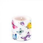 Ambiente Kaars Candle Small BUTTERFLY COLLECTION White 35hrs Vlinders 