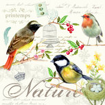 Papieren servetten Easy Life LES OISEAUX p/20 33x33cm Vogels Papieren servetten Easy Life LES OISEAUX p/20 33x33cm Vogels