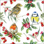 Papieren lunch servet p/20 AB 33x33cm BIRDS IN WINTER vogels tussen kerstgroen
