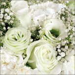 Papieren Servet AB 33x33cm p/20 ROSES bouquet witte rozen en gipskruid