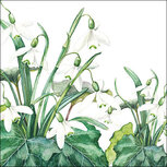 Papieren servetten AB 33x33cm p/20 SNOIWDROPS WHITE Sneeuwklokje tussen groene klimop