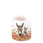 Ambiente Kaars Candle Small LILLY & LOU White 35hrs twee ezels tussen veld met klaprozen