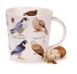 CAIRNGORM XL beker BIRDS & EGGS met tekst Birds of Prey op het oor, Roofvogels CAIRNGORM XL beker BIRDS & EGGS met tekst Birds of Prey op het oor, Roofvogels