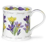 FEBRUARY Flower of the Month CROCUS bloem van de maand Februari FEBRUARY Flower of the Month CROCUS bloem van de maand Februari