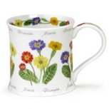 MARCH Flower of the Month PRIMULA Mug & Coaster bloem van de maand Maart MARCH Flower of the Month PRIMULA Mug & Coaster bloem van de maand Maart