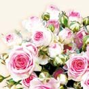 Servet AB 33x33cm p/20 MAXIMA Cream Pink Roses, Roze roosjes 
