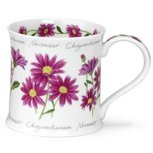 NOVEMBER Flower of the Month CHRYSANT Mug &Coaster bloem van de maand november NOVEMBER Flower of the Month CHRYSANT Mug &Coaster bloem van de maand november