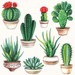 Papieren servet AB 33x33cm p/20 CACTUS 