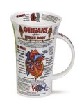 ORGANS of the HUMAN BODY Glencoe beker ORGANEN menselijk lichaam