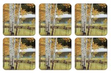 BIRCH BEAUTY Onderzetters s/6 Berkenbomen  BIRCH BEAUTY Onderzetters s/6 Berkenbomen