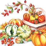 Papieren servetten PUMPKINS & ROSEHIPS AB 33x33cm p/20 Pompoen en Rozenbottel Papieren servetten PUMPKINS & ROSEHIPS AB 33x33cm p/20 Pompoen en Rozenbottel