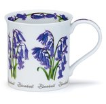 Bute beker Bloemen SPRING FLOWERS Bluebell Boshyacinth