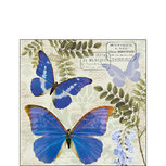 Papieren servet BLUE MORPHO AB 25x25cm p/20 vlinder blauw Papieren servet BLUE MORPHO AB 25x25cm p/20 vlinder blauw