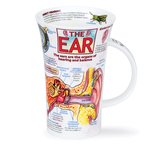 THE EAR Organs of Hearing and Balance beker Glencoe XL gehoor en evenwichtsorgaan THE EAR Organs of Hearing and Balance beker Glencoe XL gehoor en evenwichtsorgaan