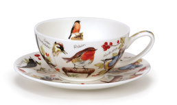 Kop en schotel wijd T4O 0,25L BIRDLIFE Vogels