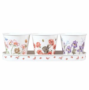 Herb Pots set of 3 with tray WRENDALE Kruiden potjes op tray Libelles konijn en Winterkoninkje