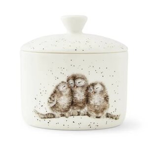 Royal Worcester WRENDALE Small Storage jar OWL voorraadpotje Owlets 9,5cm Uilskuikens