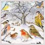 papieren-servetten-lunch-diner-Ambiente-33x33cm-BIRD_MEETING-vogels-bos-roodborstje-vink-winterkoninkje-tak-sneeuw-winter-33313