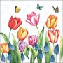 papieren-servetten-p/20-Ambiente-lunch-TULIPS_&amp;_MUSCARI-TULPEN-blauwe-druifjes-vlinders-33x33cm-13311525