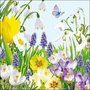 papieren-servetten-SPRING_TIME-voorjaar-lente-bloemen-bloembol-blue-blauw-geel-wit-13307760