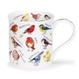 DUNOON-mug-Bute-beker-mok-Tasse-BIRDLIFE-Garden_birds-soorten-tuin-vogels-design-Kate_Mawdsley