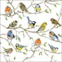 Papieren-lunch-servetten-33x33cm-BIRDS_MEETING-vogels-verzamelen-berkenboom-takken-Ambiente-13314975