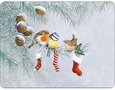 CHRISTMAS_SOCKS-Ambiente-PVC-placemats-dun-zacht-foam-polyester-40x30cm-vogels-Dennentak-Dennenappels-Kerst sok-39015310