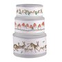 Wrendale-CHRISTMAS-CAKE-TIN-set/3-koekblik-trommel-rond-20_22.5_25cm-WRENDALE-dieren-Muis-Roodborstje-Haas-design-Hannah_Dale-