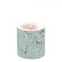 Ambiente-Kaars-candle-klein-Small-MISTLETOE ALL OVER-35h-branduren-39215685