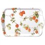 dienblaadje-tray-melamine-small-LAMPION-Physalis-Lampionplant-oranje-vruchten-21x13cm-13714460